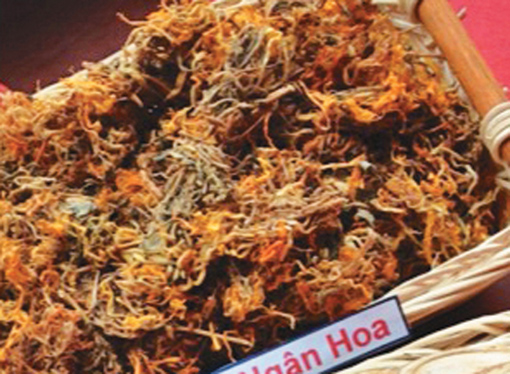 Bí ẩn của 9 loại thảo mộc ảnh 6